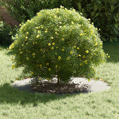 Adecuado Para Anillo De Árbol Plano Plateado Ø40/70 Cm_2