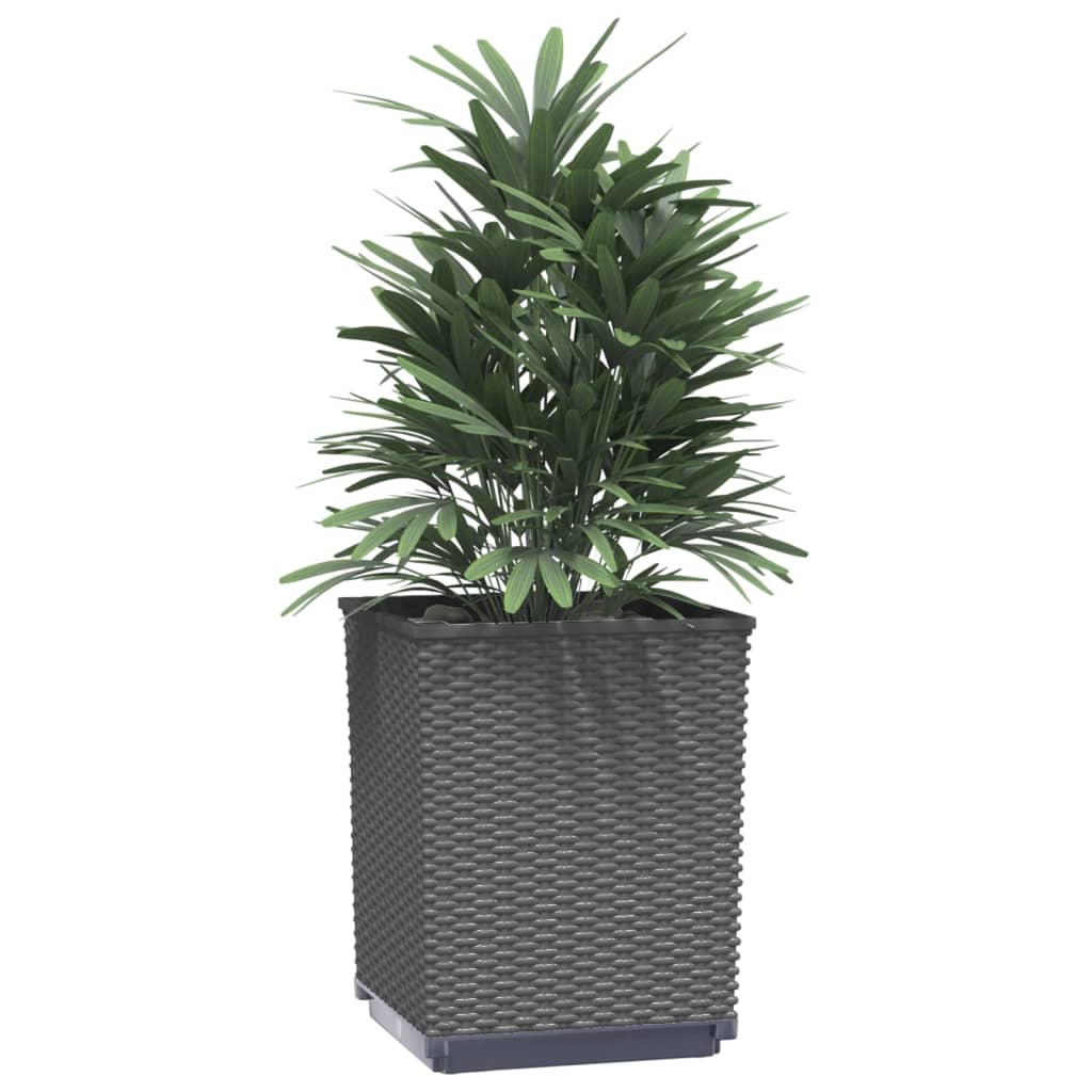 Jardineras 4 Uds Polipropileno Negro 30x30x37 Cm_2
