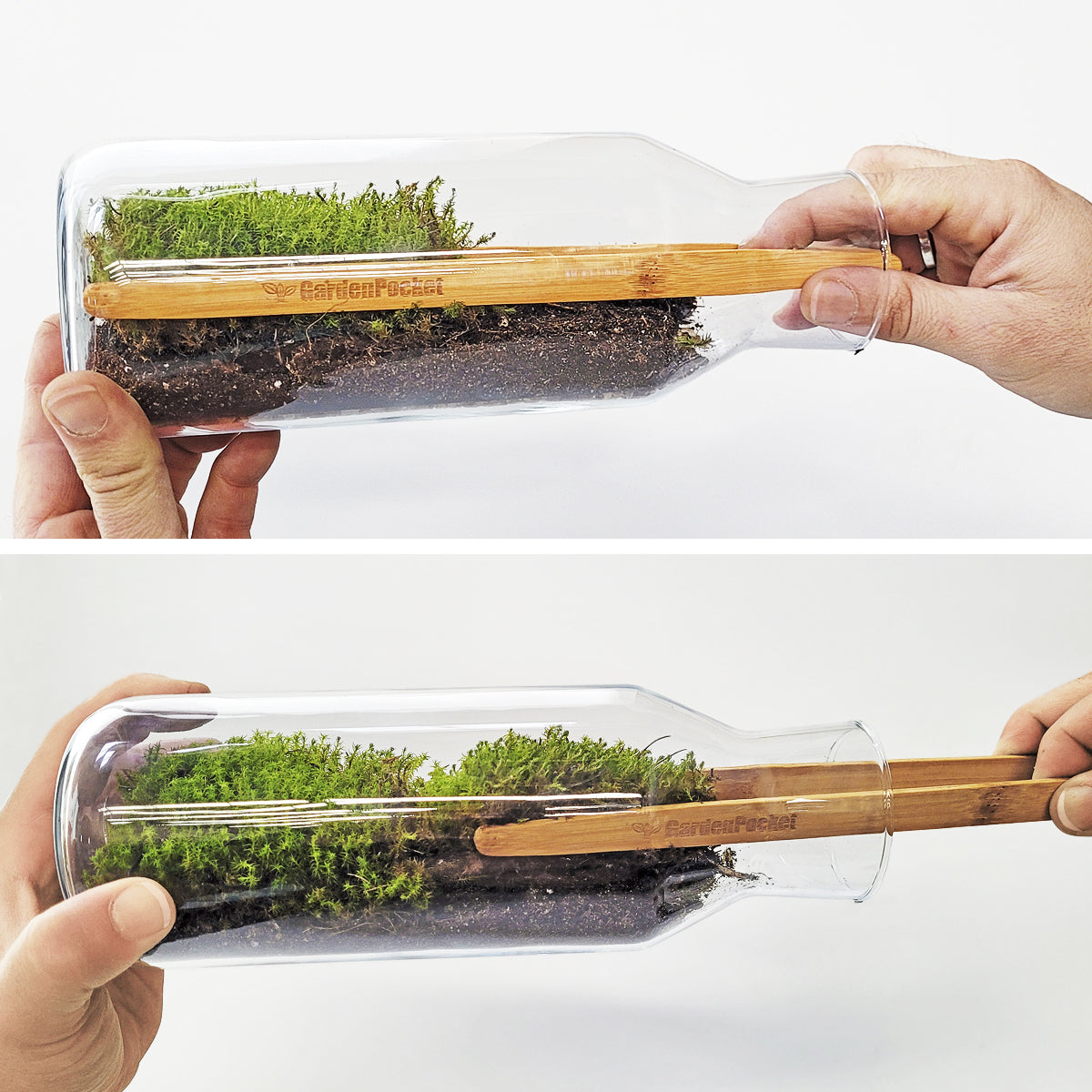 Mossarium Diy - Inlcuye Musgo Natural_5