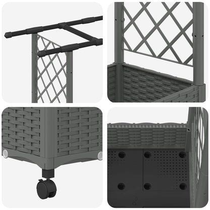 Cama Elevada Con Trellis Y Techo Gris Claro 122,5 X 40 X 127 Cm_5