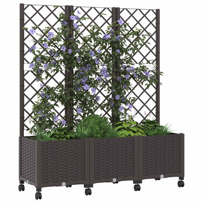 Jardinera Con Enrejado Y Ruedas Marrón 120 X 40 X 146 Cm Pp_2