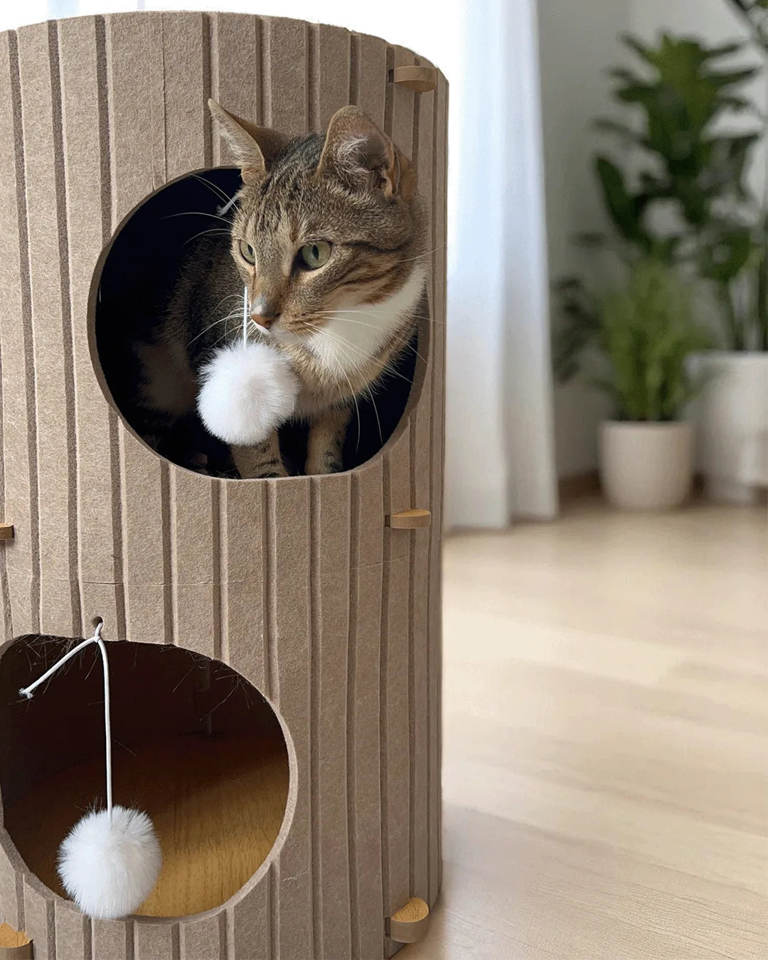 Casa De Fieltro Mediterráneo, 2 Alturas_4