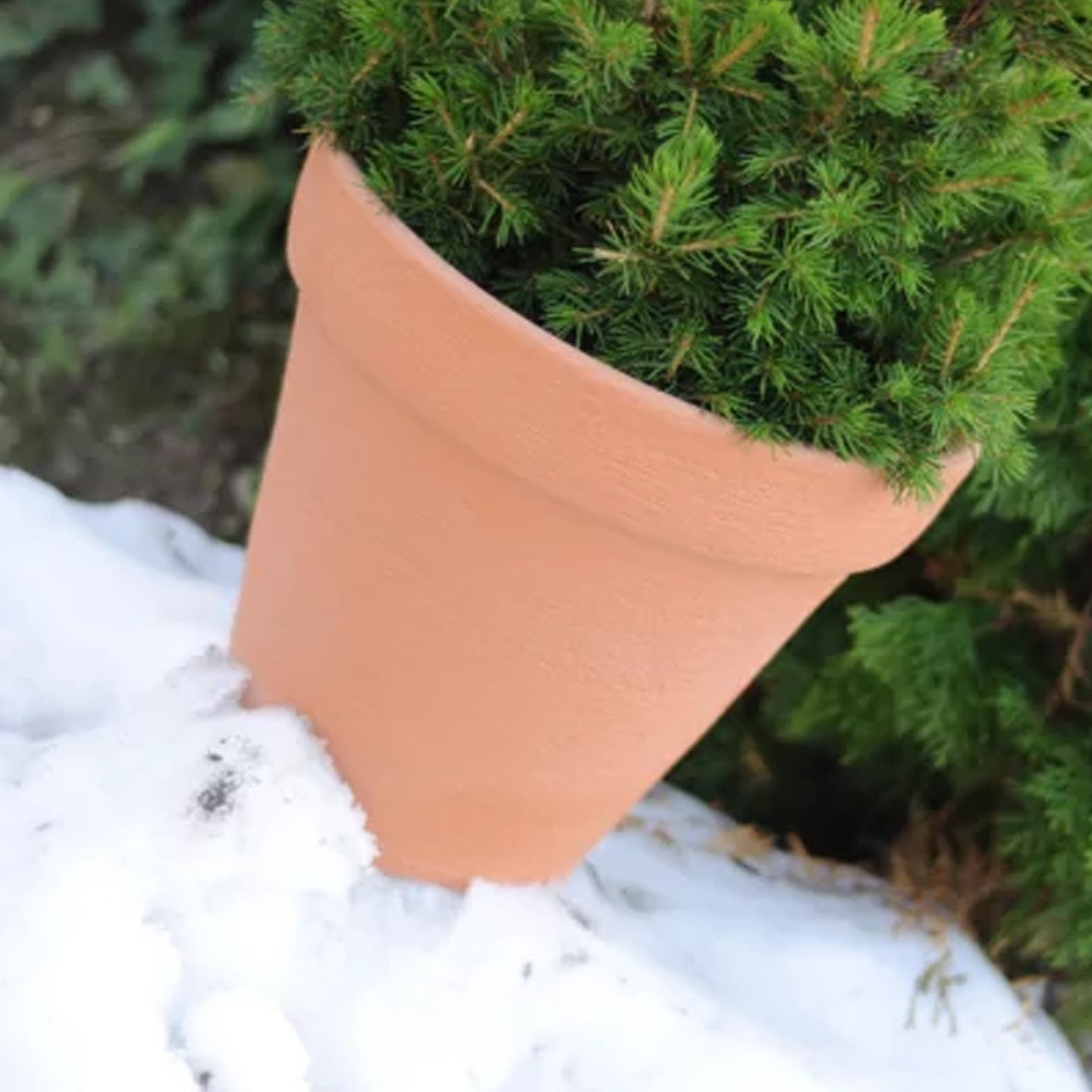 Maceta Classic 6l., Dimensiones (mm) 255x255x240, Color Ladrillo