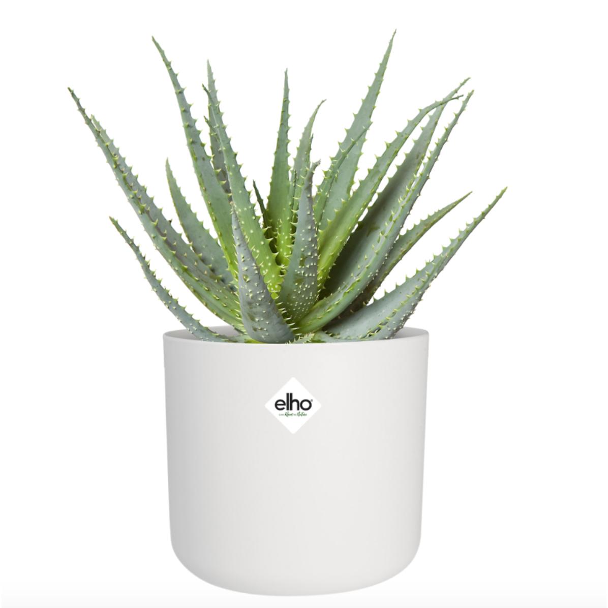 B. para vaso redondo macio Elho branco 18 cm