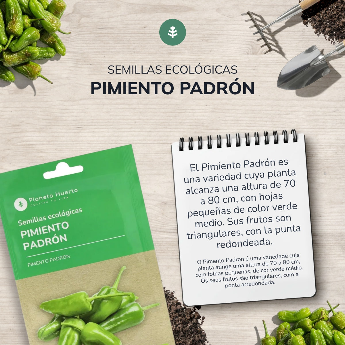 Sementes de Pimento Padrón Biológicas do Planeta Huerto
