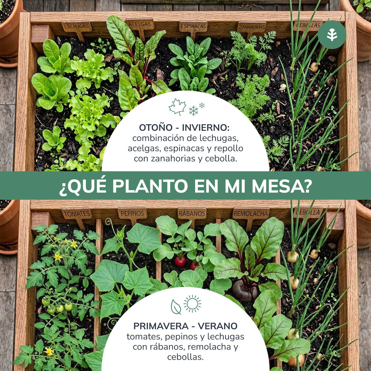 Mesa de cultivo Planeta Huerto