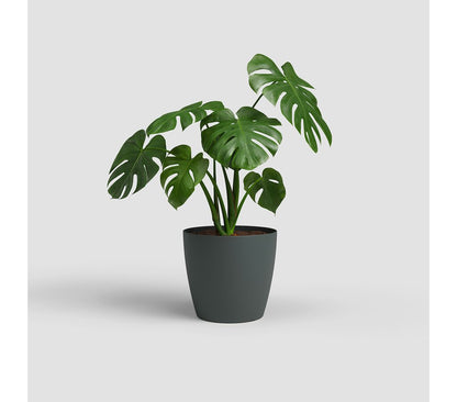 Artevasi Macetero Plastico Mate San Remo Antracita 36cm_1