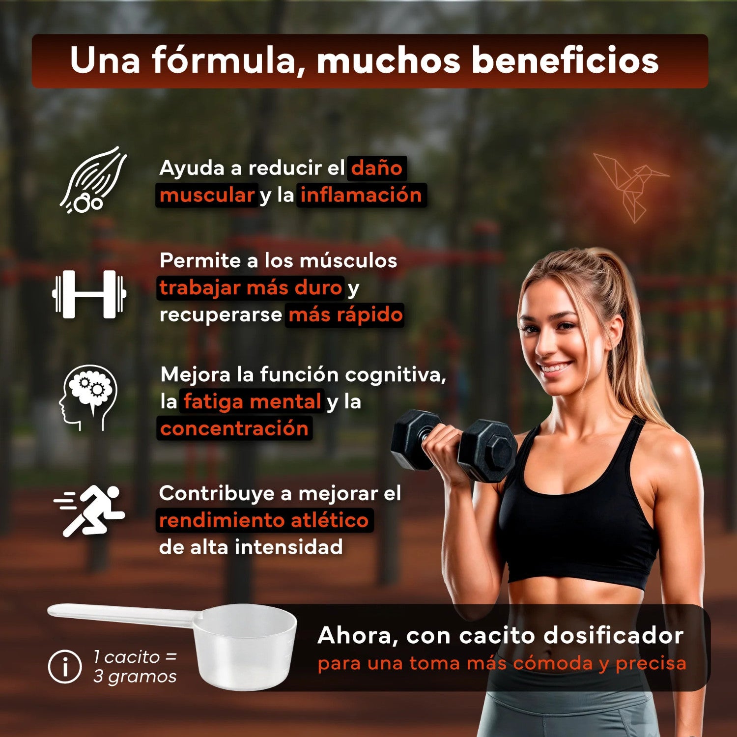 Creatina Monohidratada Sevens Nutrition 500 g