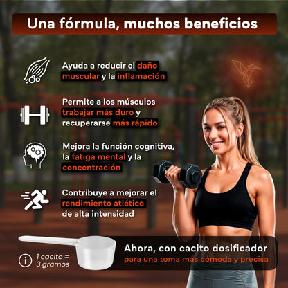 Creatina Monohidratada Sevens Nutrition 500 g