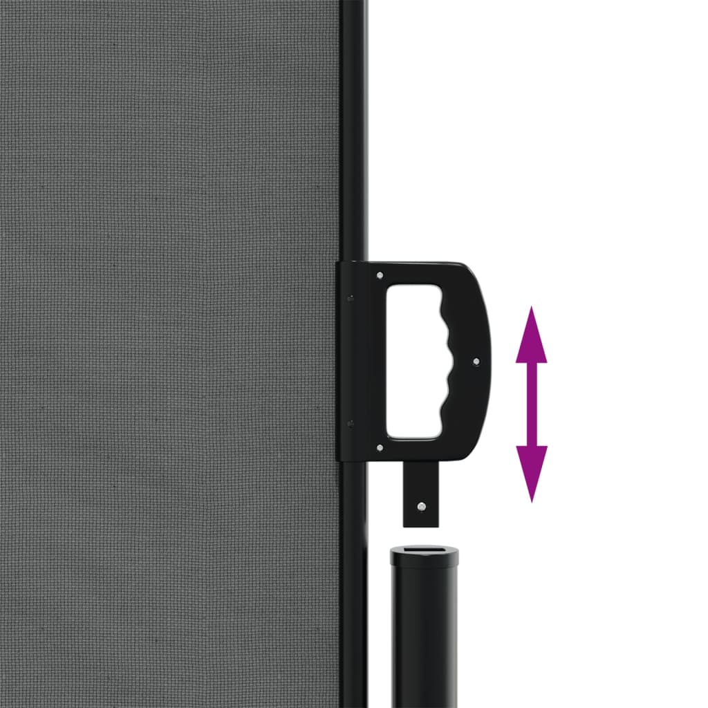 Toldo Lateral Retráctil Gris Antracita 120x1000 Cm_4