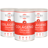 Pack 3 frascos de Colagénio Hidrolisado Viteba Sport 330 g x 3 + Vitaminas C + B2 + B3 + Magnésio + Manganês │ SEM sabor NEM odor
