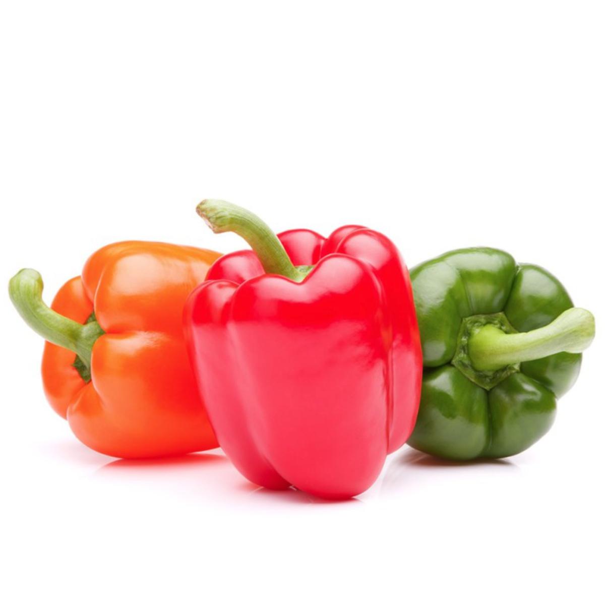 Cozer Mudas de Pimentos em Vaso de 11 cm