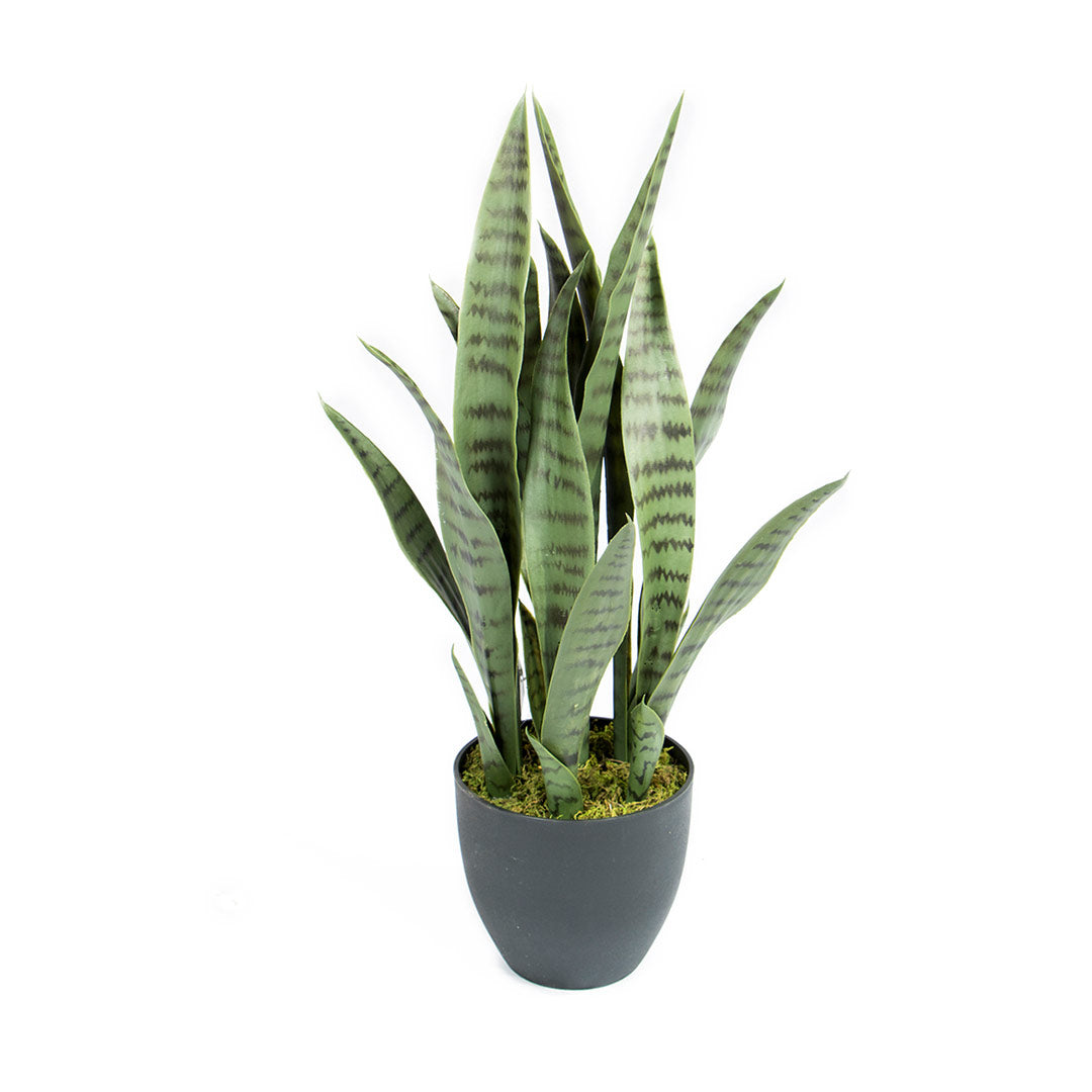 Planta Artificial Sansevieria: Elegancia Y Naturalidad En Tu Hogar 0.7 M / Multicolor_1