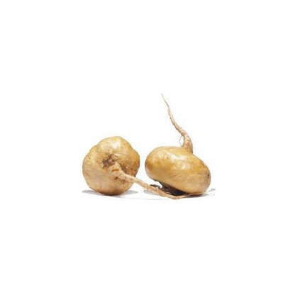 Cápsulas de Maca Andina Biológica 500 mg Marnys, 60 unidades