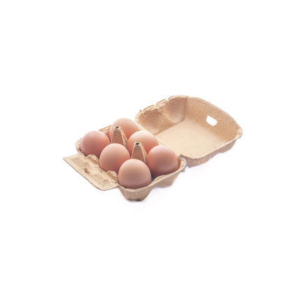 6x Ovos ECO Planeta Huerto