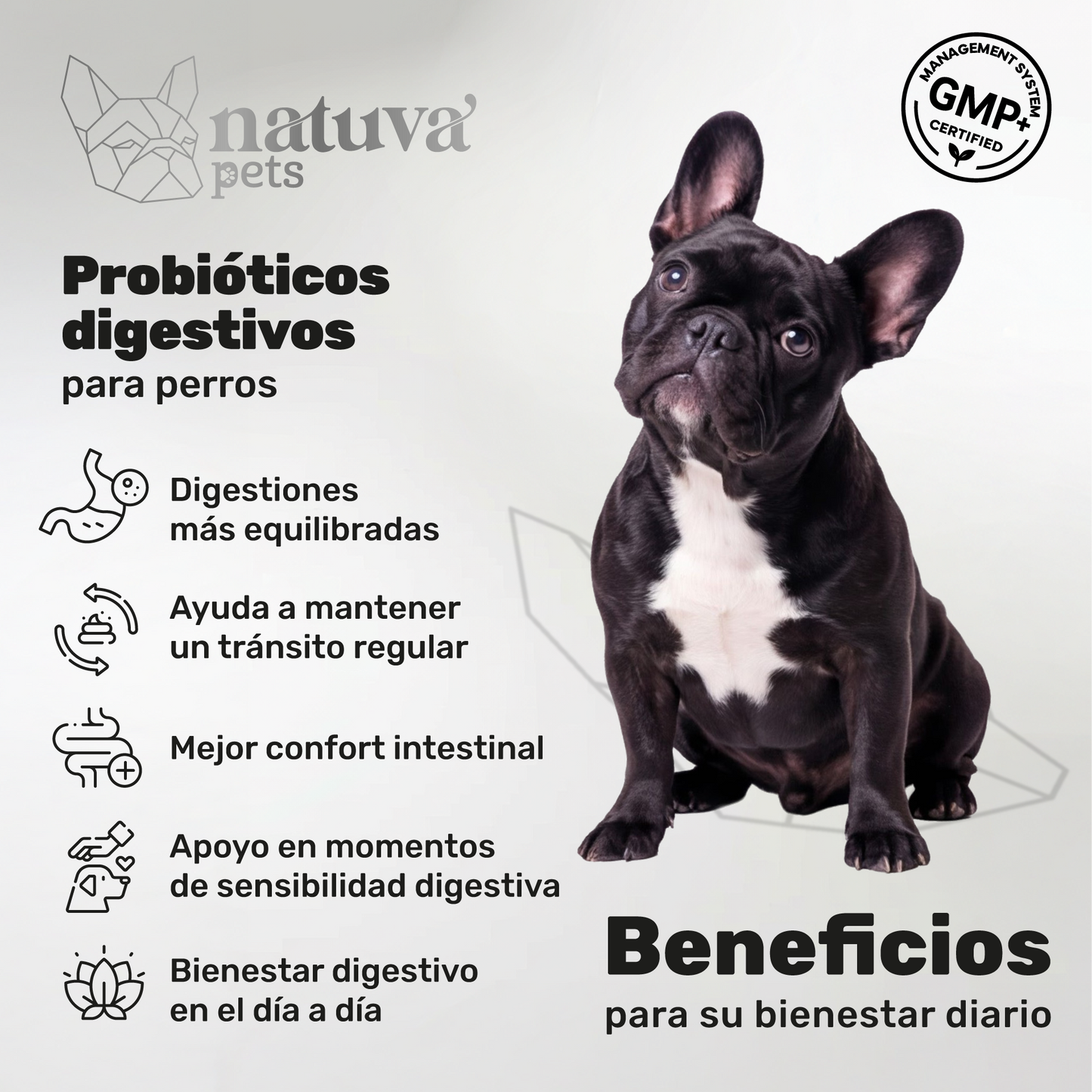 Pack 2x Probiótico Para Perros. Bienestar Digestivo. Suplementos Mascotas. 240 Masticables. Natuva Pets_1