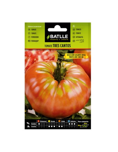 Sementes de Tomate Tres Cantos Batlle
