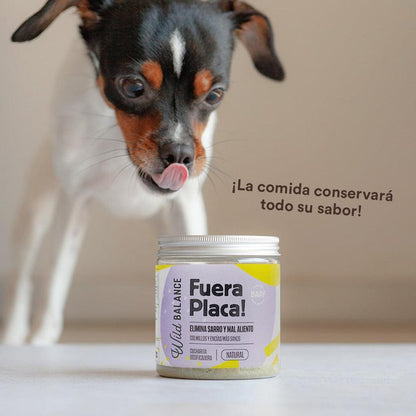 Suplemento para animais de estimação Wild Balance 100g