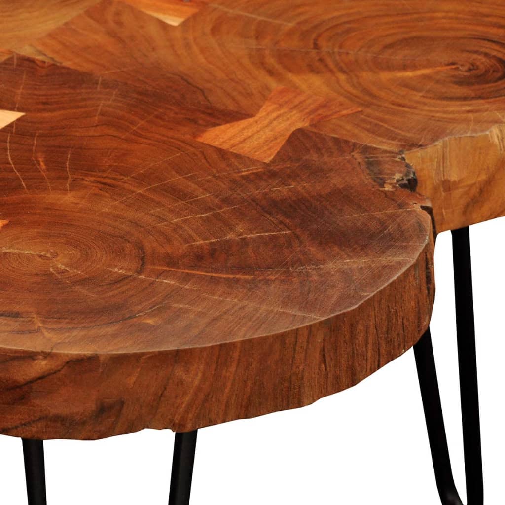Mesa De Centro Con 4 Troncos Madera Maciza De Sheesham 35 Cm_2