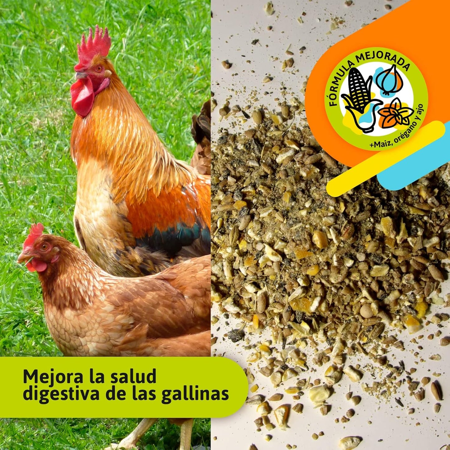 Pienso Gallinas Ponedoras ECOLÓGICO 20 kg – Cáscara Dura, Natural y Equilibrado para Producción de Huevos_5