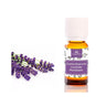Óleo essencial de lavanda, Camassia
