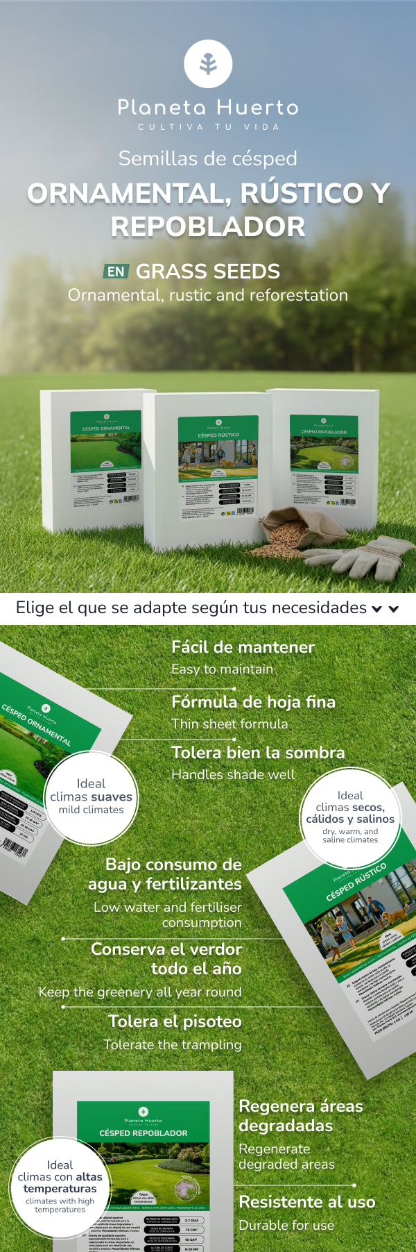 Sementes de Relva Repovoadora Planeta Huerto 1 kg
