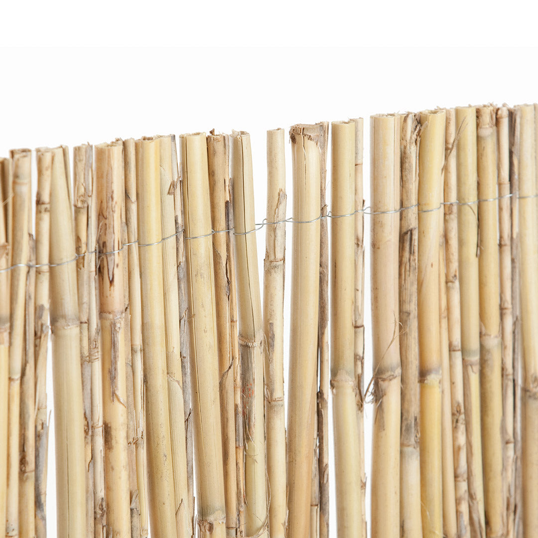 Cañizo Entero Natural - Protección Y Estilo Para Tu Espacio 2x5 M / Multicolor_1