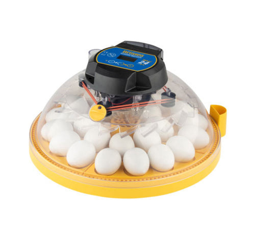 Incubadora Brinsea Maxi 24 Ex - Para 24 Huevos De Gallina/pato - Volteo Automático - Control Automático De La Humedad_0