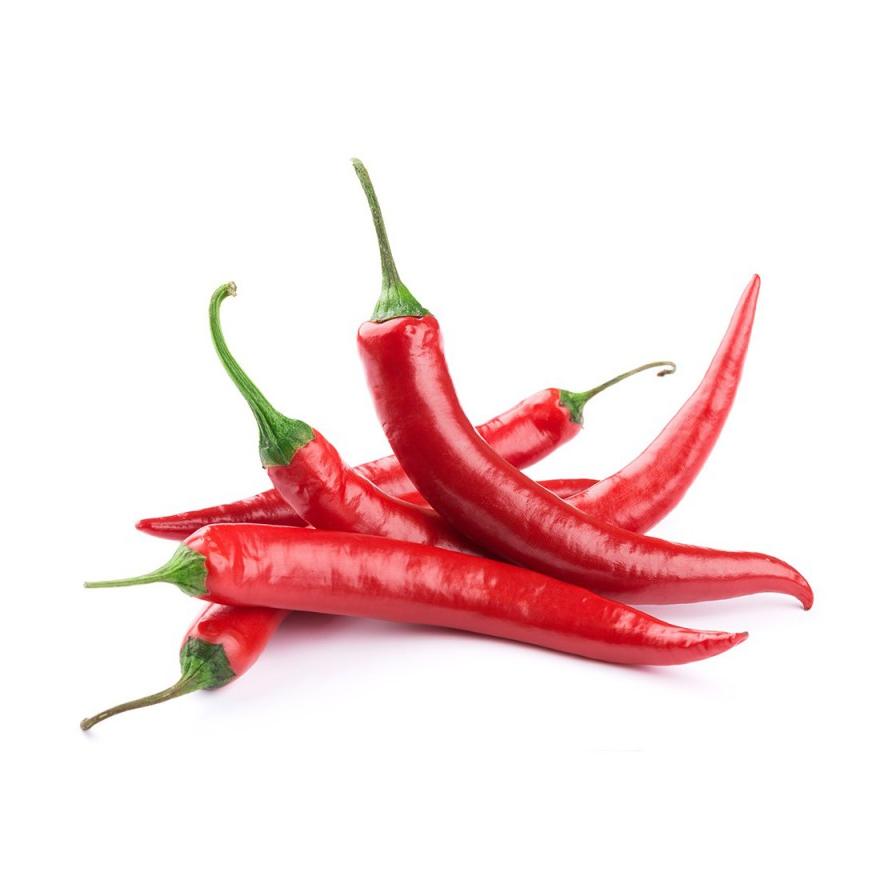 Mudas de Pimento Vermelho Longo, 6 unidades. Linha Tradicional