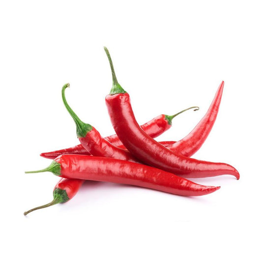 Mudas de Pimento Vermelho Longo, 6 unidades. Linha Tradicional