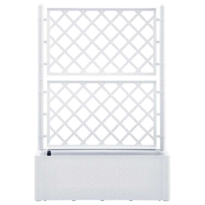 Arriate Con Enrejado Y Sistema De Riego Automático Blanco_2