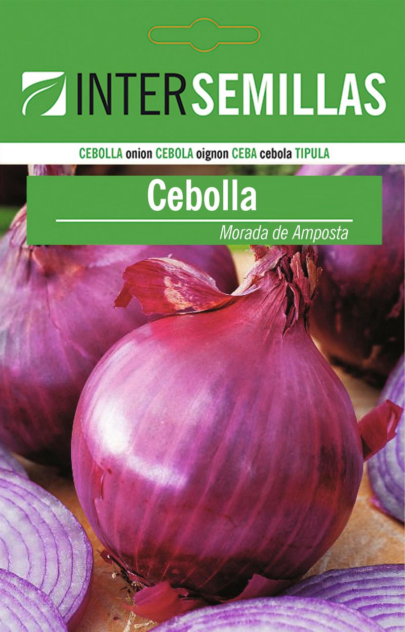 Sobre De Semillas De Cebolla Morada De Amposta_0