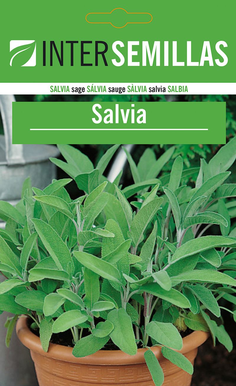 Sobre De Semillas De Salvia_0