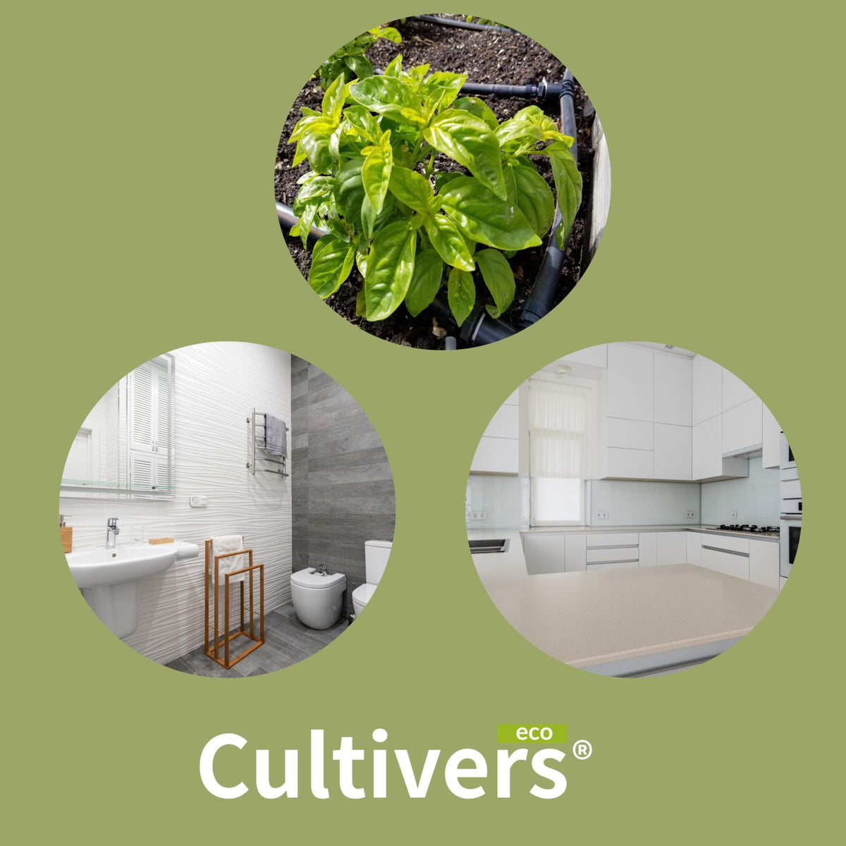 Cultivers Ácido Cítrico Anhidro 100% Puro 5 Kg | Limpiador Multiusos Ecológico | Corrector De Ph Para Agricultura Y…_2