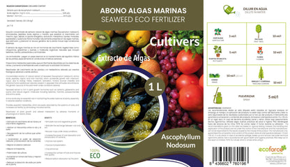 Cultivers Fertilizante Algas Marinas Líquido 10 L. Abono Orgánico Para Plantas Extracto De Ascophyllum Nodosum…_1