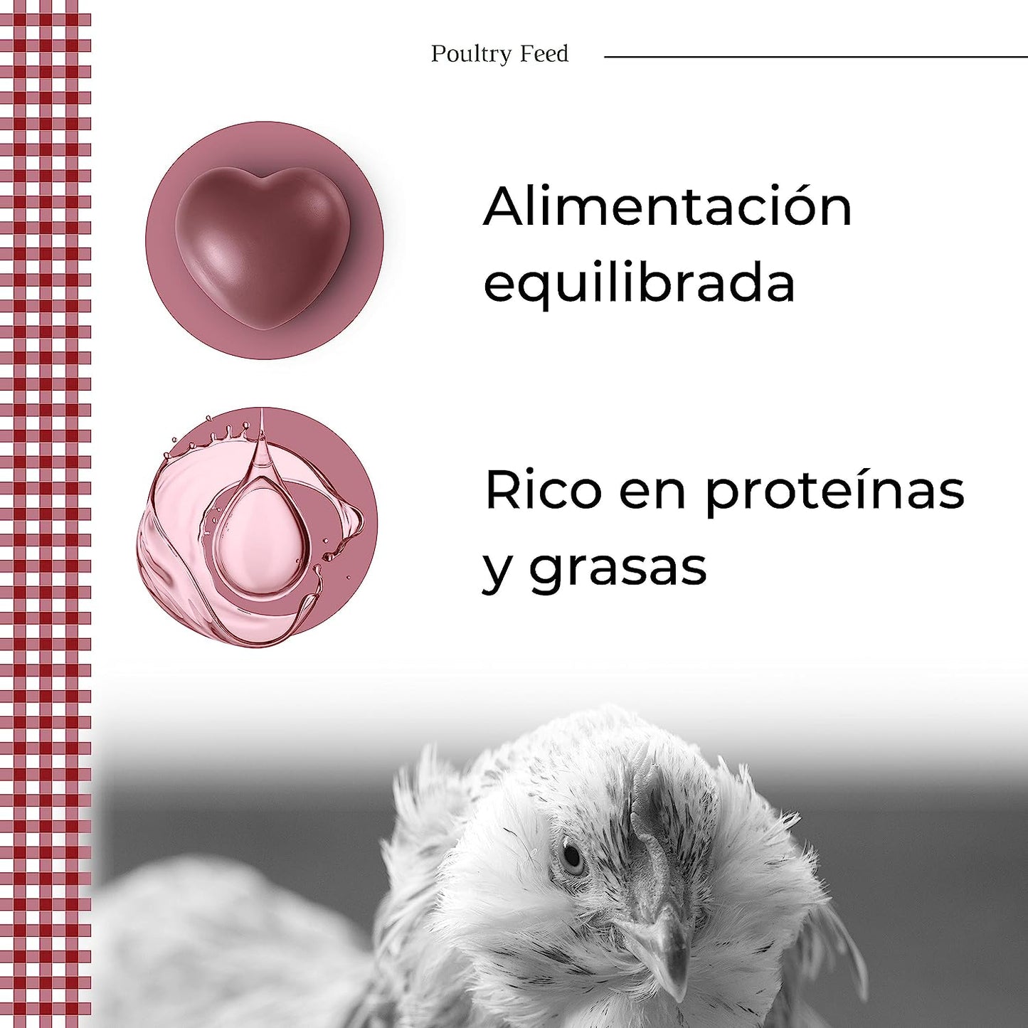 Pienso Para Gallinas Poultry Feed Puesta_2