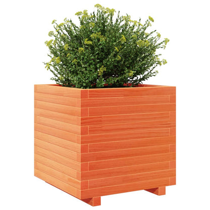Jardinera Madera Maciza De Pino Marrón Cera 50x50x49,5 Cm_3