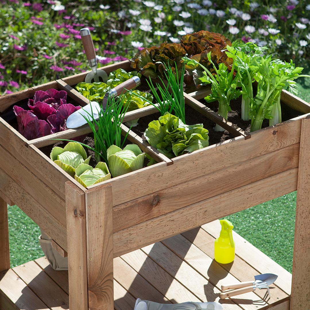 Mesa De Cultivo Germin 60 - Huerto Vertical En Madera 0,8x0,8x0,6 M / Multicolor_1