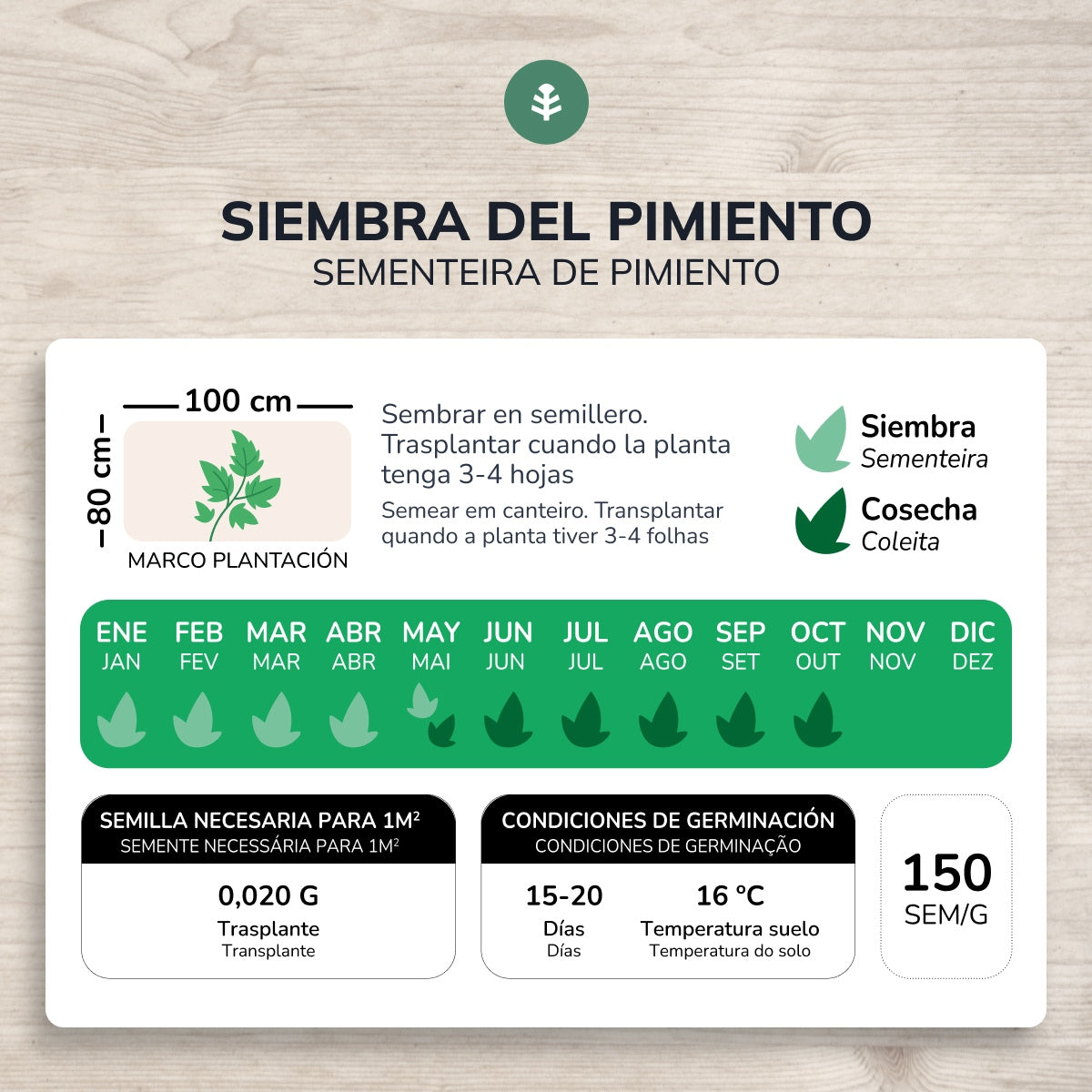 Sementes de Pimento Longo Biológica Planeta Huerto de Reus