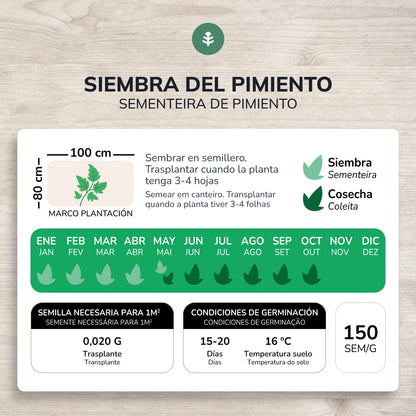 Sementes de Pimento Longo Biológica Planeta Huerto de Reus