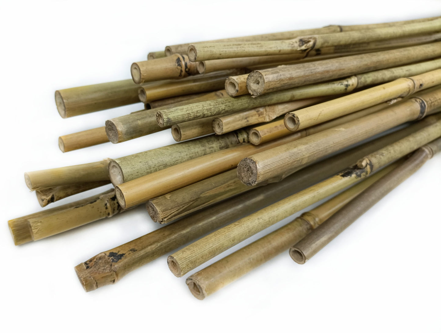 Tutor De Bambú Pack 30 Unidades Cultivers