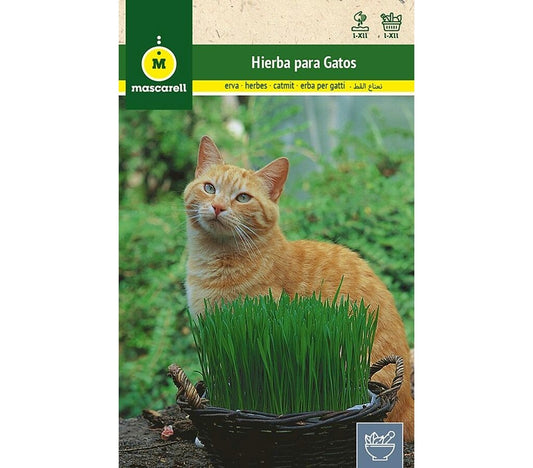 Semillas Hierba Para Gatos_0