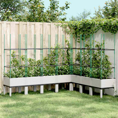 Jardinera Con Enrejado Pp Blanco 200x160x142,5 Cm_1