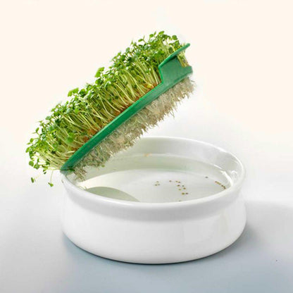 GermLine Taça de germinação com grade de plástico