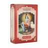 Pó de Henna Radhe Shyam Tintura Castanho Cobre 100g