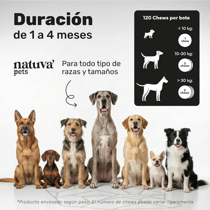 Probiótico Para Perros. Digestión Y Bienestar Digestivo. Suplemento Para Mascotas. 120 Masticables. Natuva Pets_3