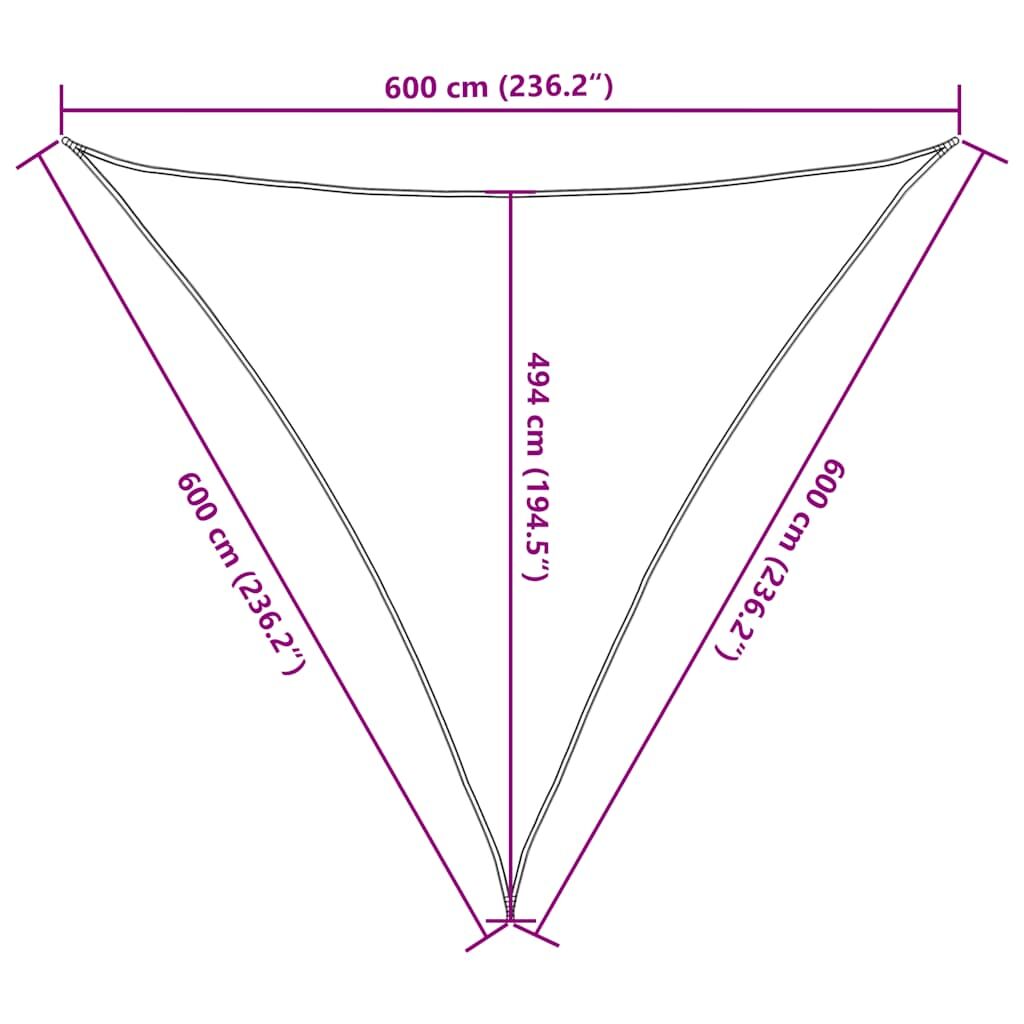 Vidaxl Toldo De Vela Triangular Hdpe Azul 160 G/m² 6x6x6 M_2
