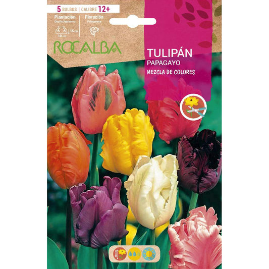 Mistura de bolbos de tulipa papagaio 5 unidades Rocalba