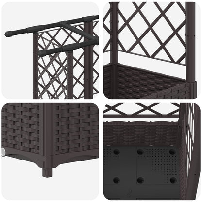 Cama Elevada Con Trellis Y Techo Marrón 124 X 40 X 121 Cm Pp_5