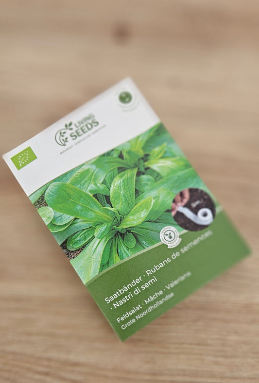 Tira De Semillas Canónigos